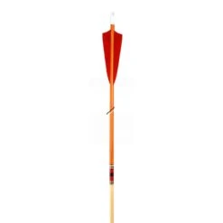Bearpaw Premium Spruce Wooden Arrows - 11/32" - Cherry